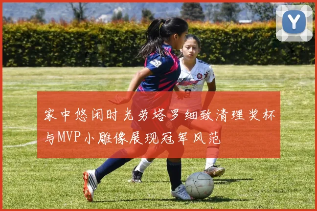 家中悠闲时光劳塔罗细致清理奖杯与MVP小雕像展现冠军风范