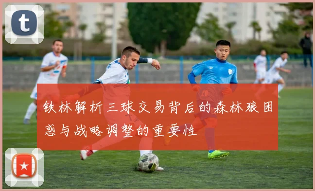 铁林解析三球交易背后的森林狼困惑与战略调整的重要性